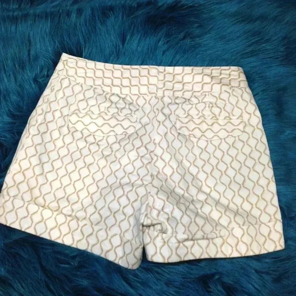 Meadow Rue (ANTHROPOLGIE) Shorts, US2. Geometric, Barbiecorp, Miami Vibes, Chic - Picture 2 of 4